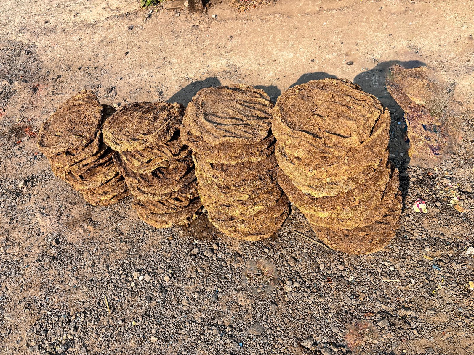 Pure 100% Cow Dung Classic Round Cakes for Havan and Puja